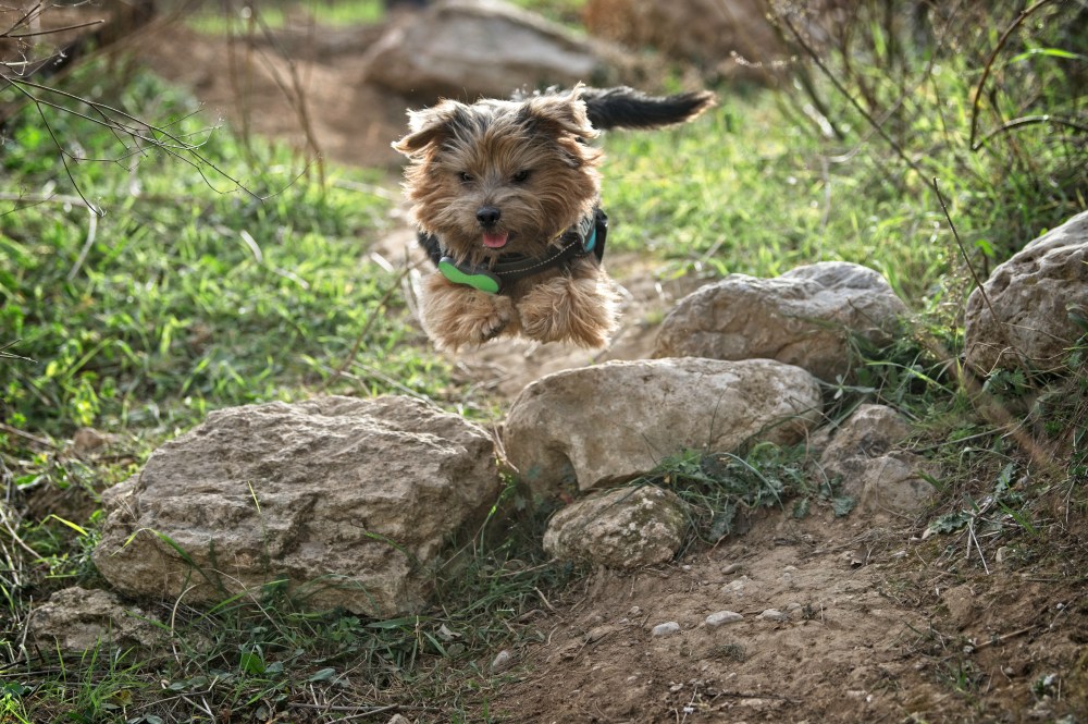 Harvest &amp; Cooper copy
