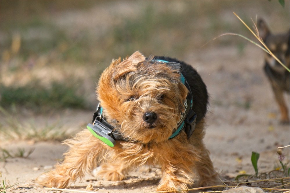 Harvest &amp; Cooper 3